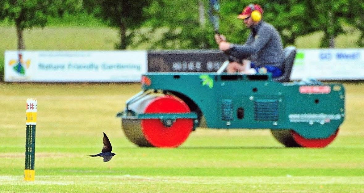 Auto-Roller tweet media