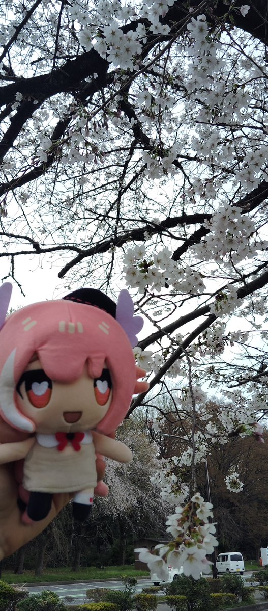 Duke Exeter tweet media