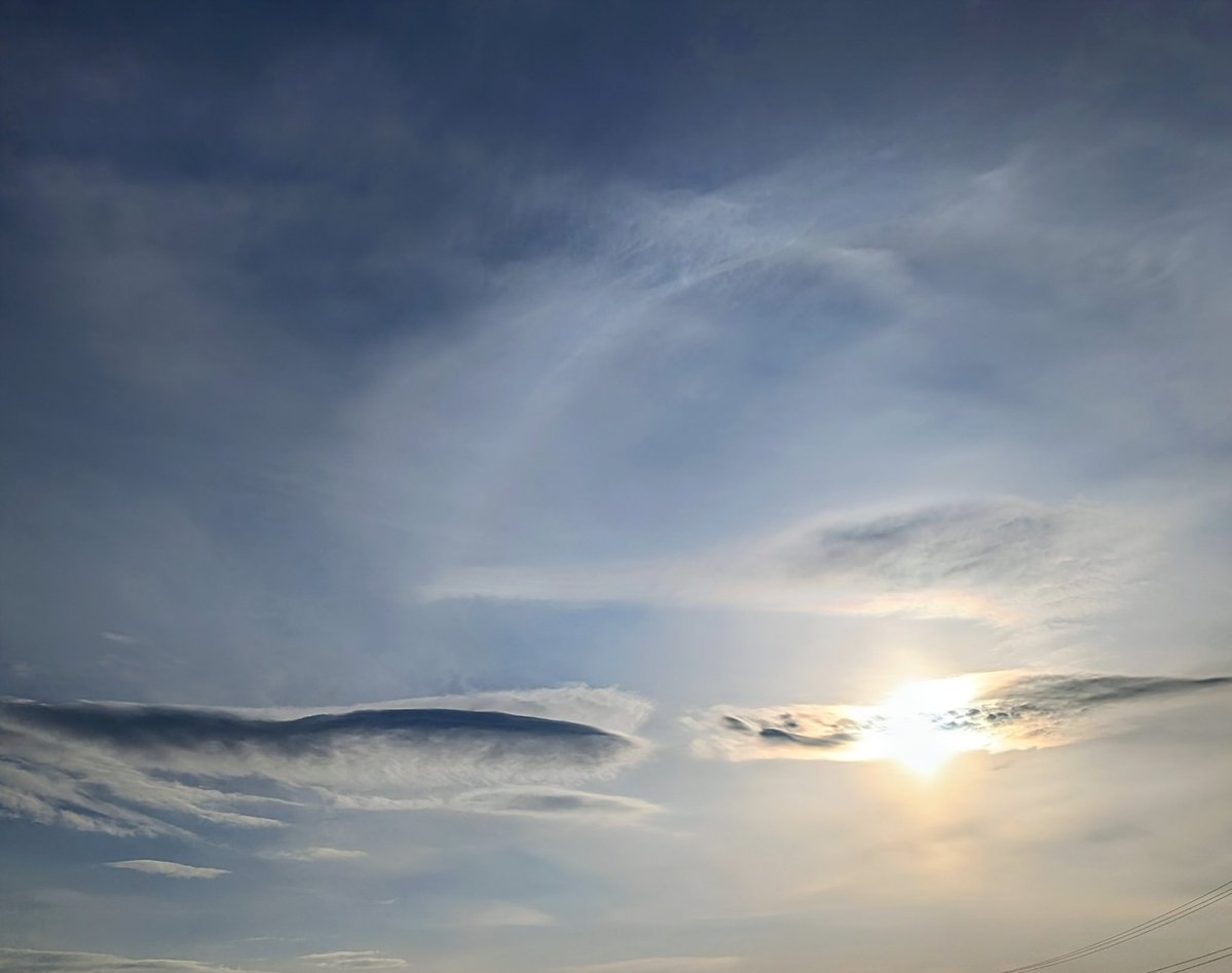 B-Kai いいね消えますʕ•ﻌ•ʔฅ tweet media