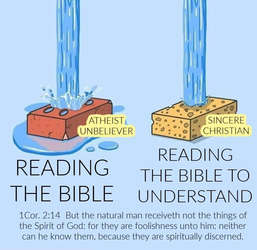 Life Truth Way tweet media