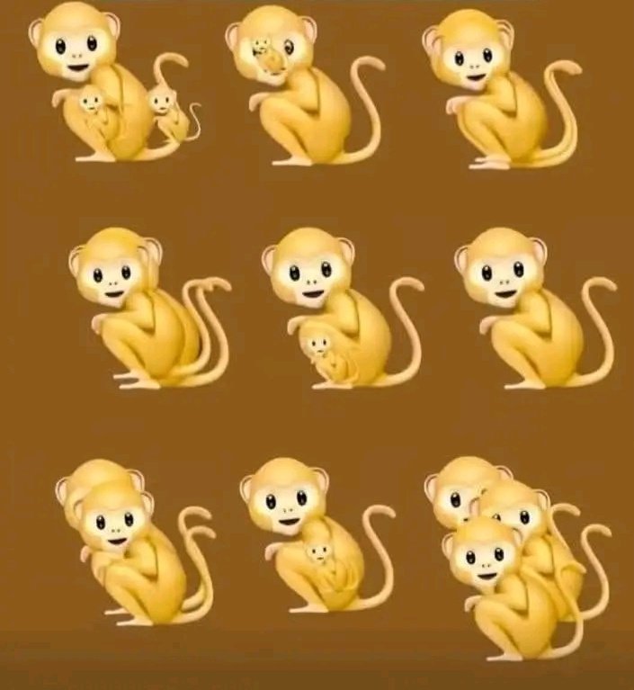 Junior Kaya tweet media