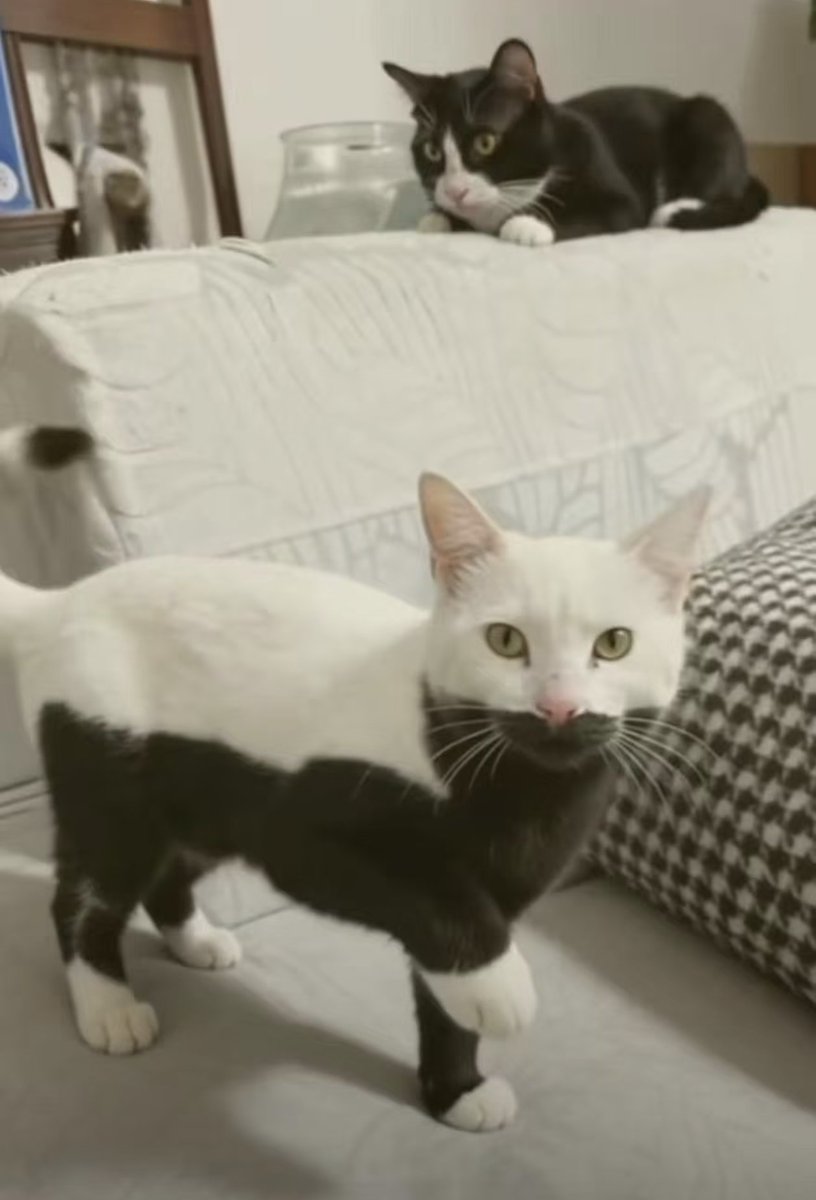 Kathleen tweet media