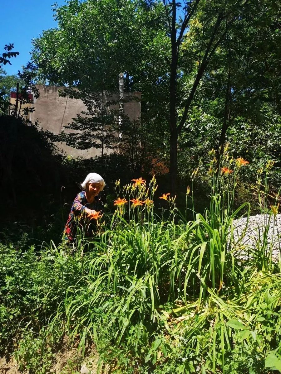 tiago romão tweet media