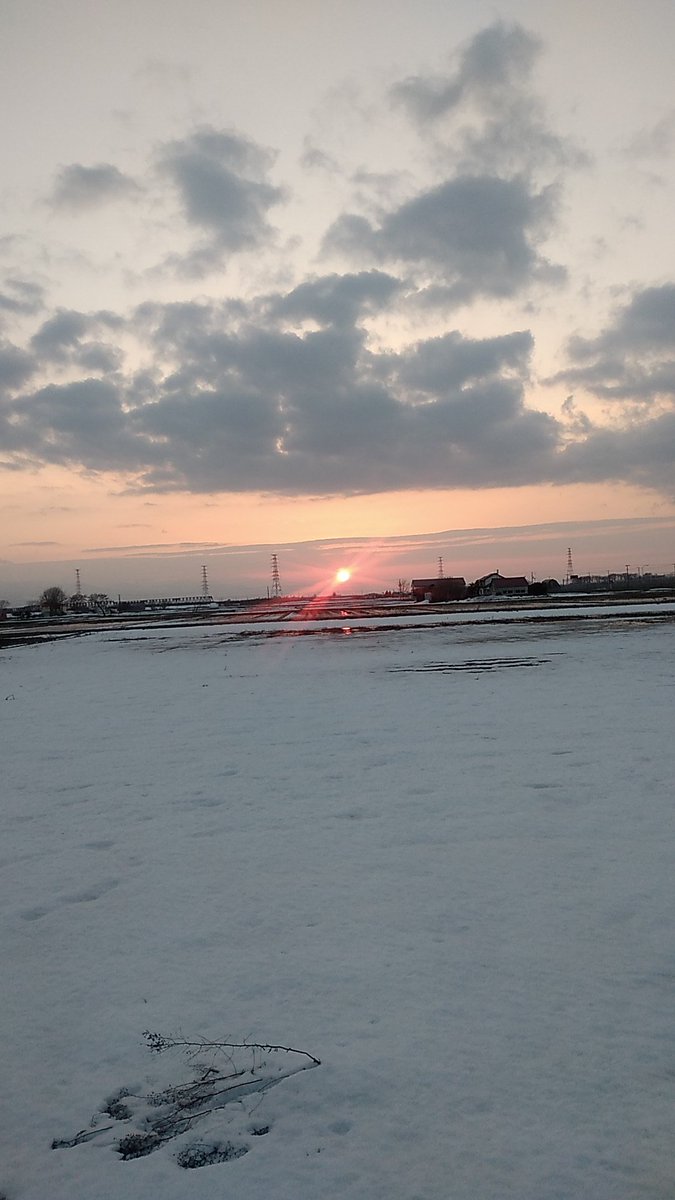 北のテッチャン(団塊のアラフィフ倅） tweet media