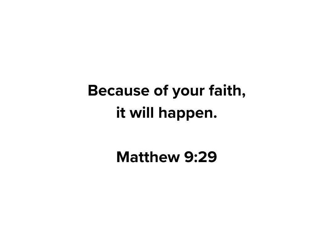 Holy Bible tweet media