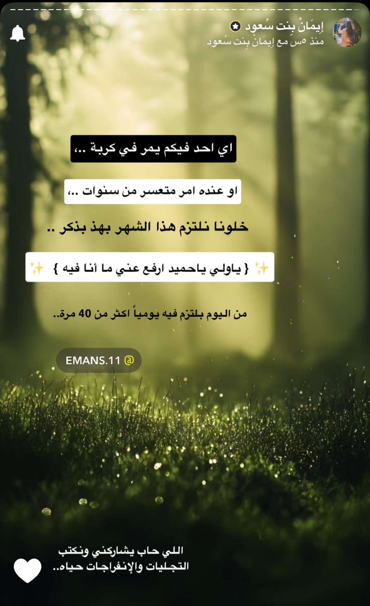 مَشَاعل الزغيبي tweet media