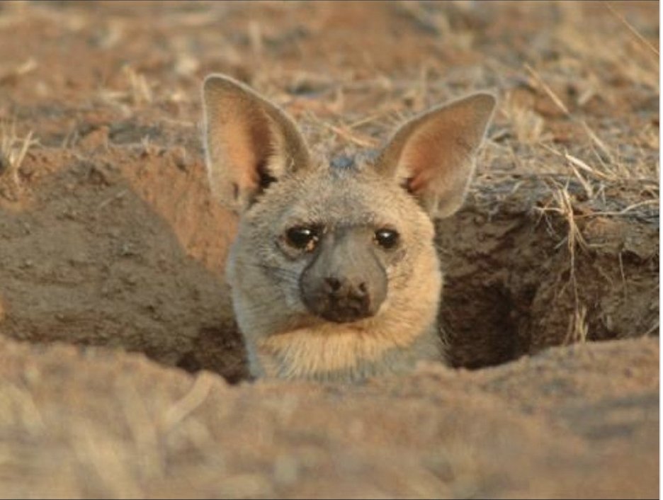 The Notorious JayZ tweet media