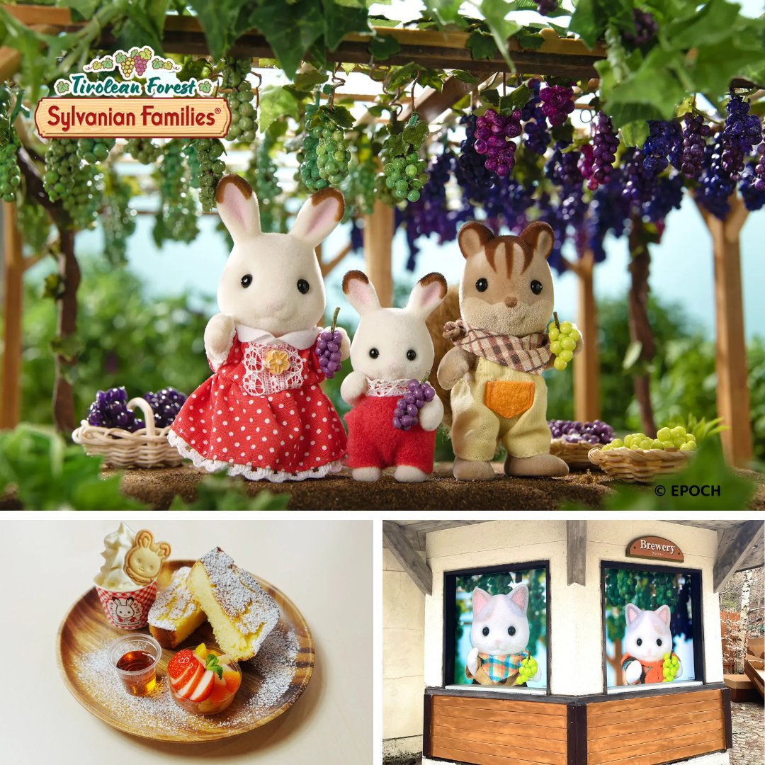 【公式】シルバニアファミリー 森のお家🏡 tweet media