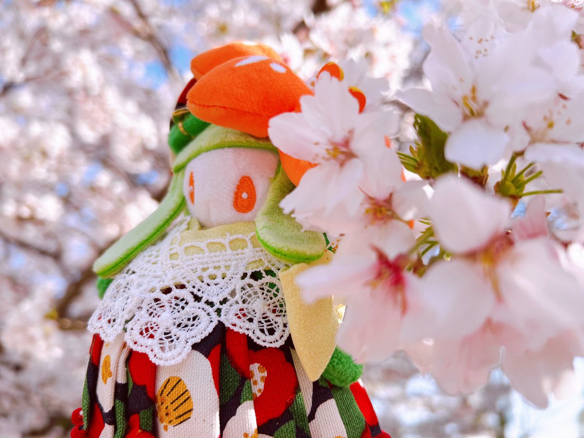 みひめかおり tweet media