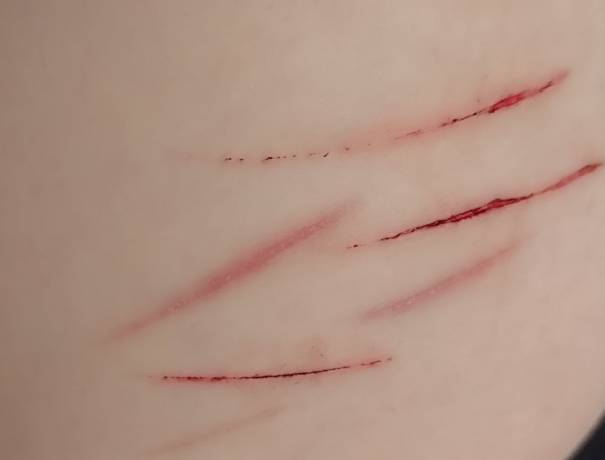 velvet • aoi akane of shtwt tweet media