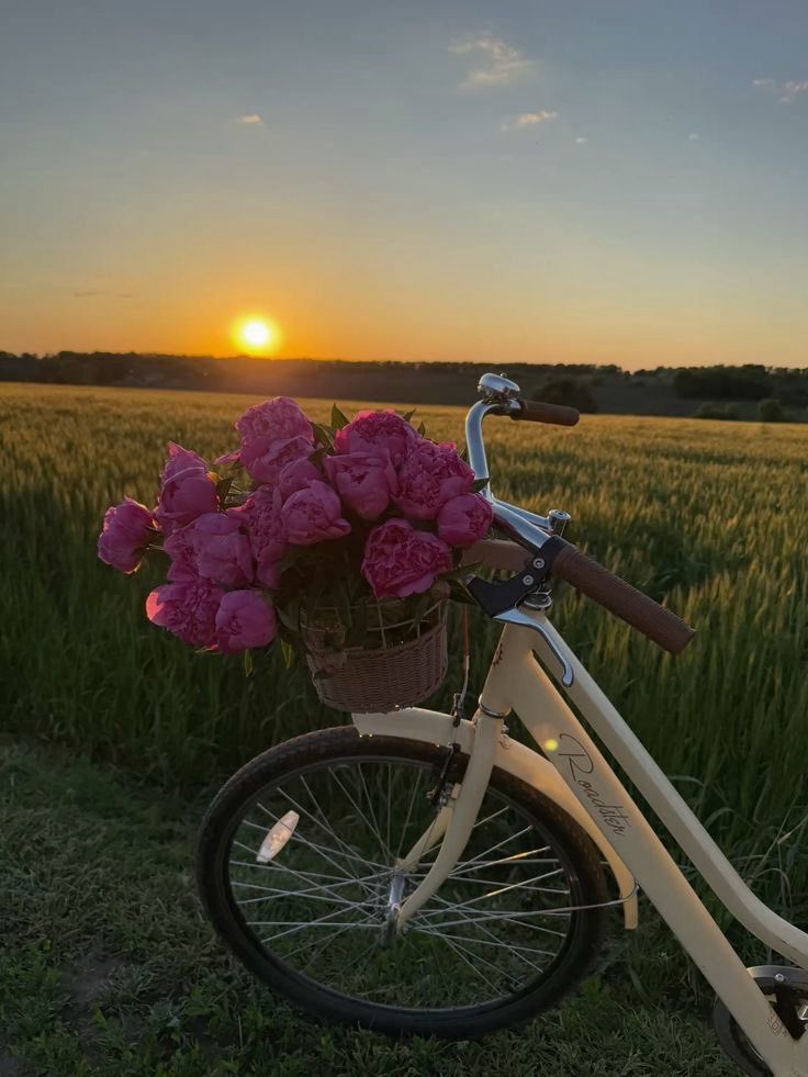 landspace tweet media