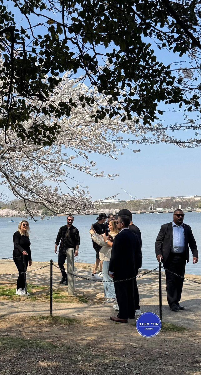 the little prince tweet media