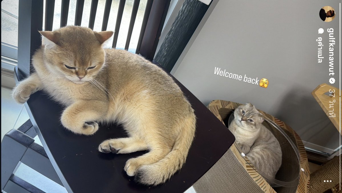 Ԉ𝖎ઽƋ tweet media