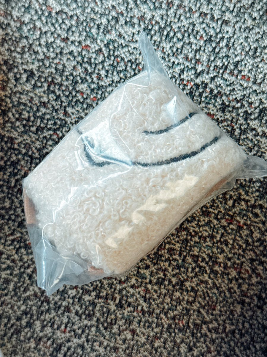 ﾟ+☆･ωpトレ垢＊びーぬq) tweet media