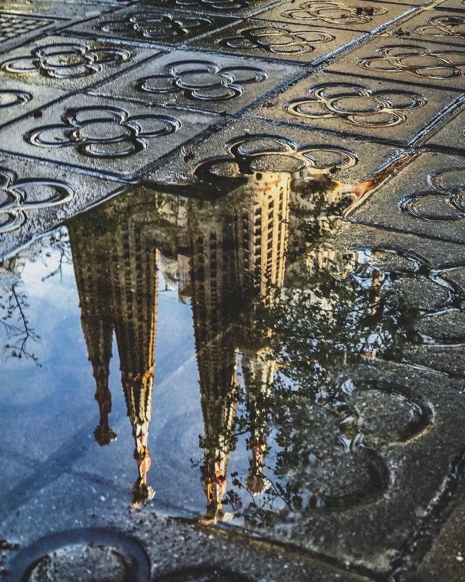 vistaaura tweet media