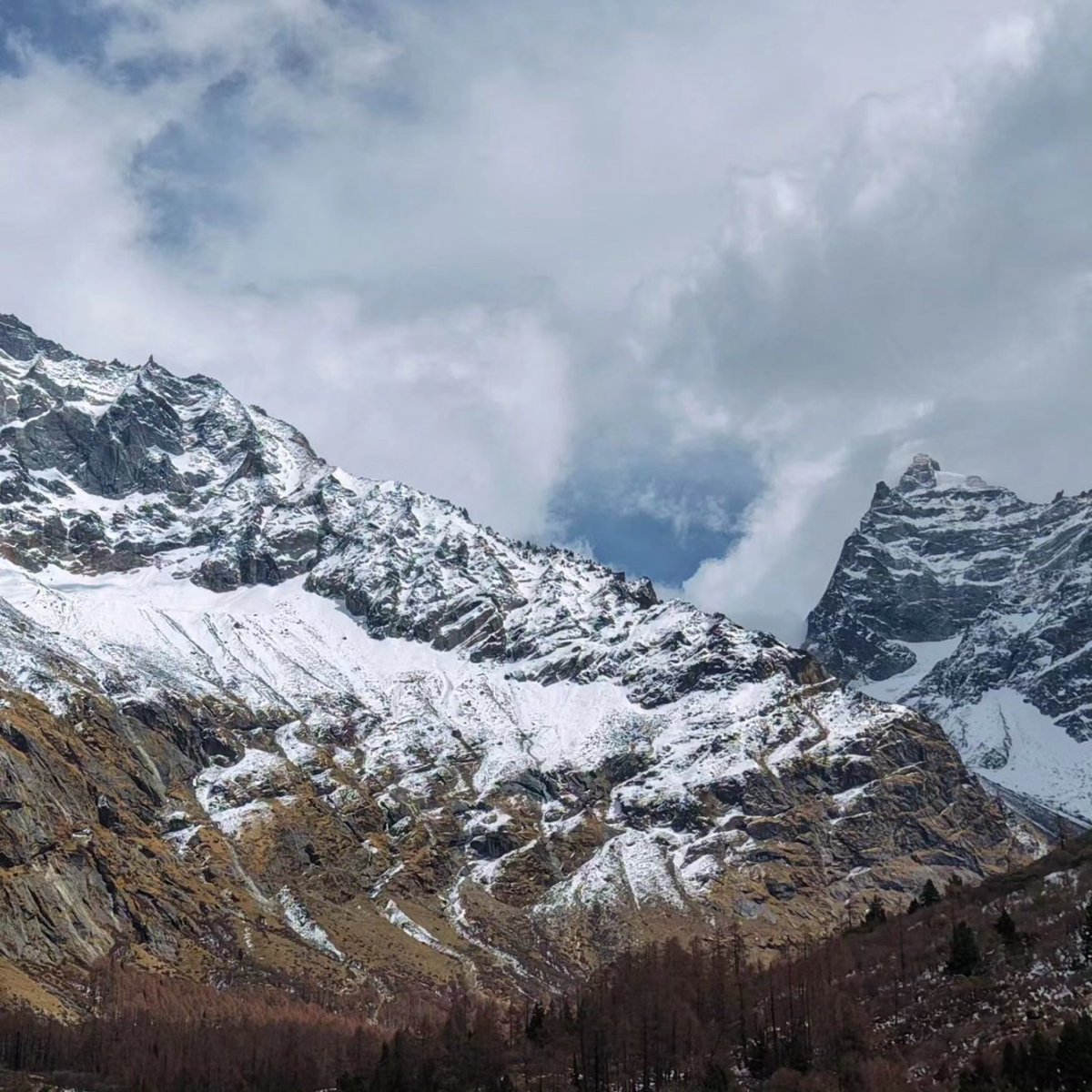 毛礼川（互关必回） tweet media