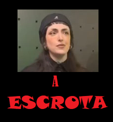 chico bonsai tweet media