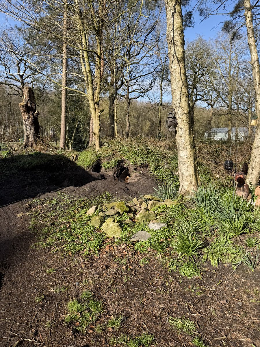 Anita Bats tweet media