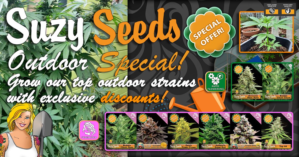 SuzySeeds tweet media