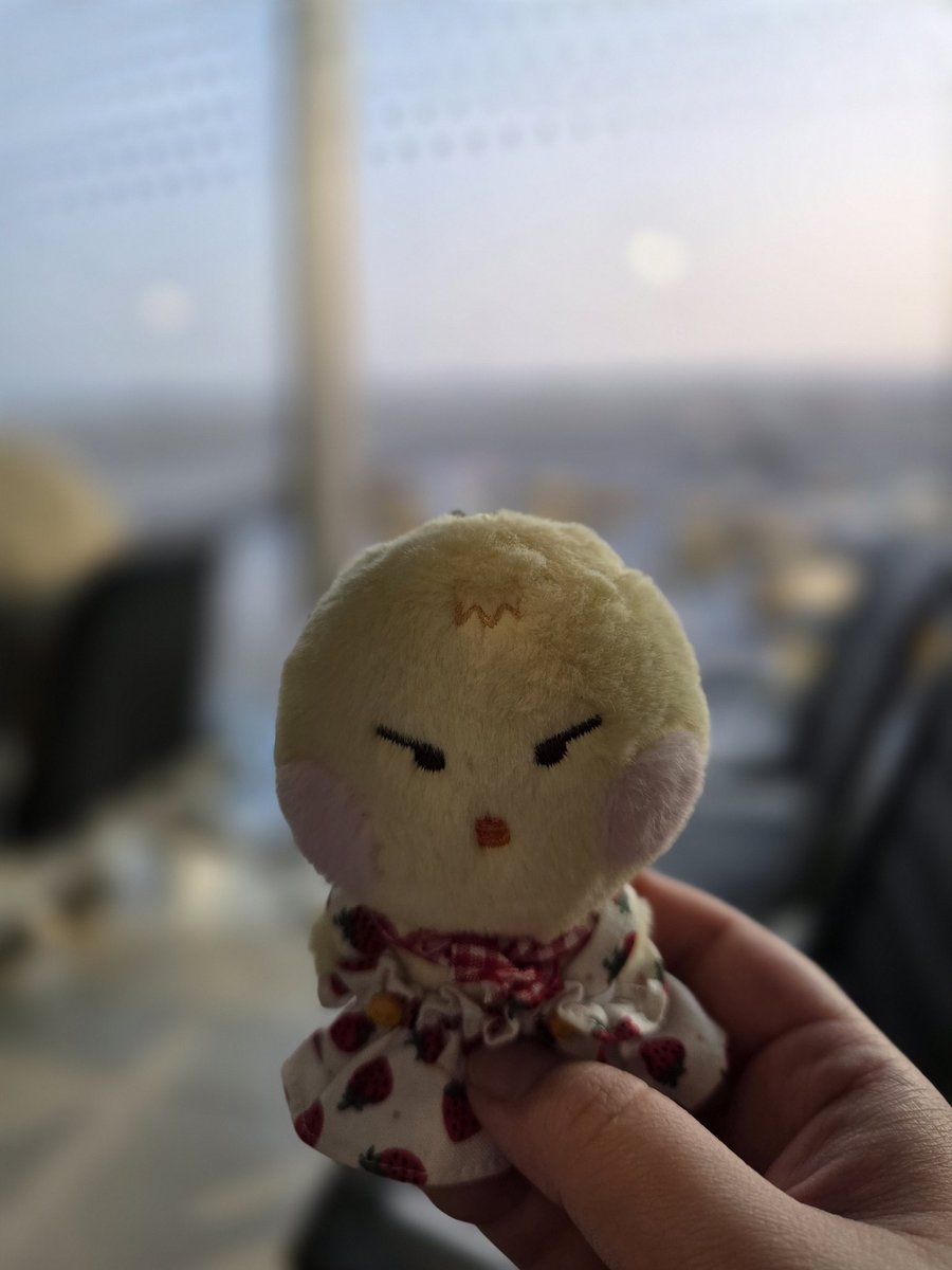 덤이🌿⭐️ tweet media