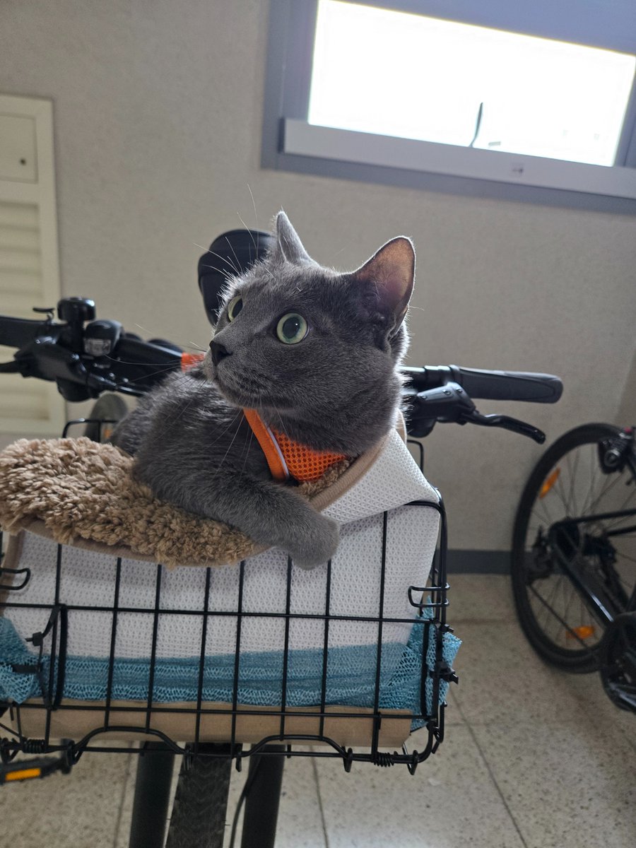 💛🇧 🇮 🇳💜 (빈이) tweet media