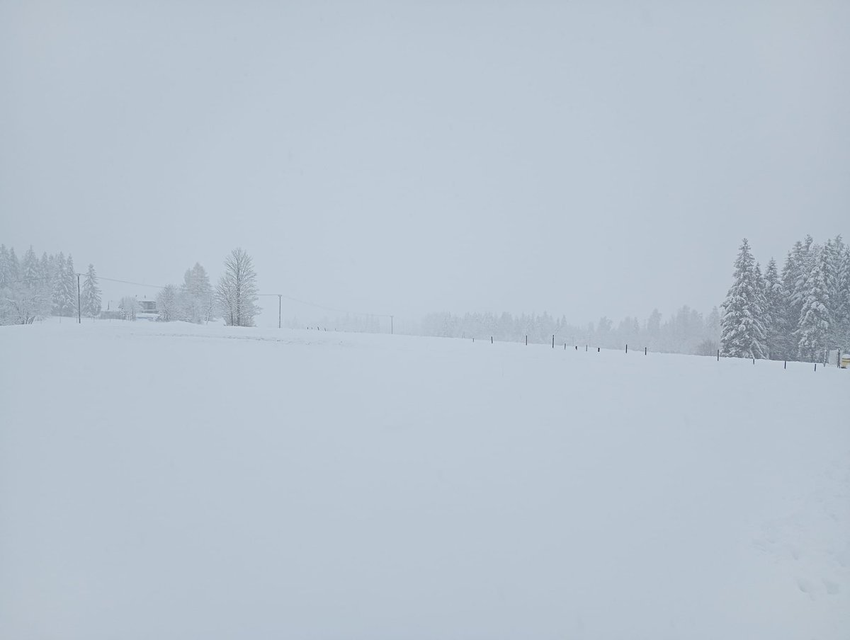 martijnkb's tweet photo. Zima wróciła, Antałówka, Zakopane. https://t.co/Fc5lNw4hlq