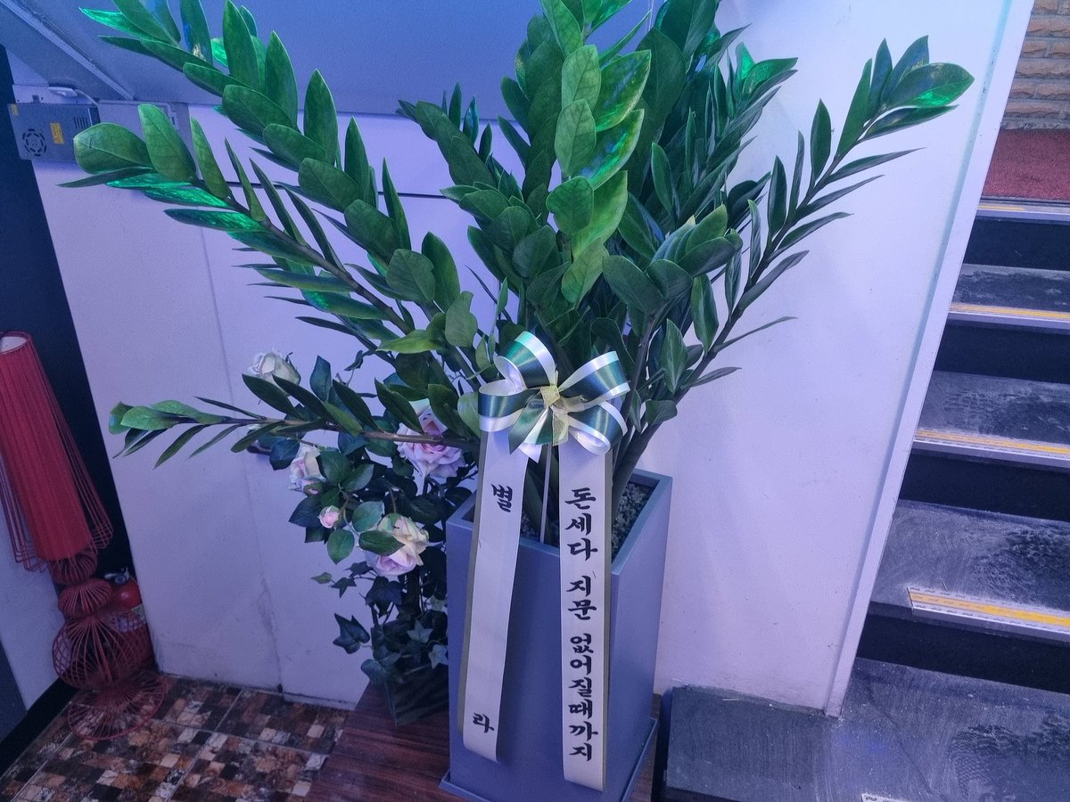 크림라운지 세희 tweet media