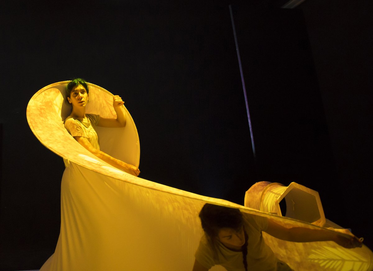 Cultura Venezia tweet media