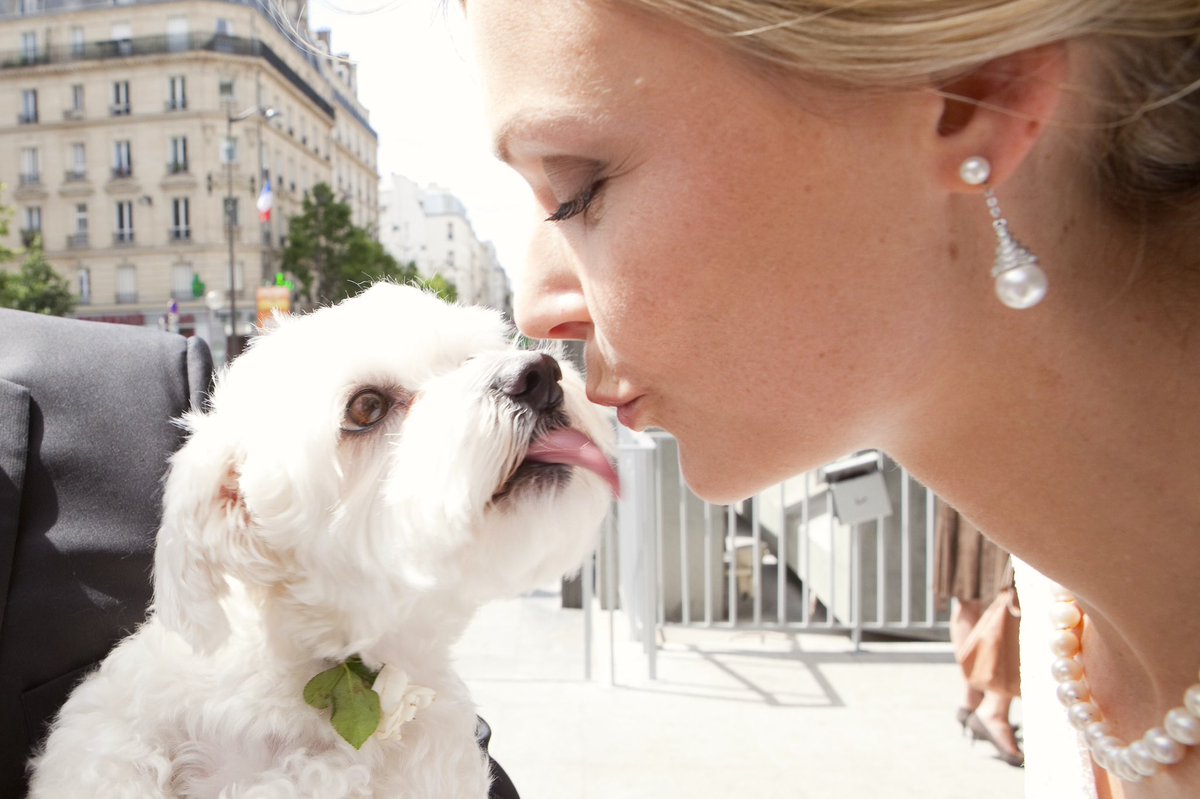 بامداد tweet media