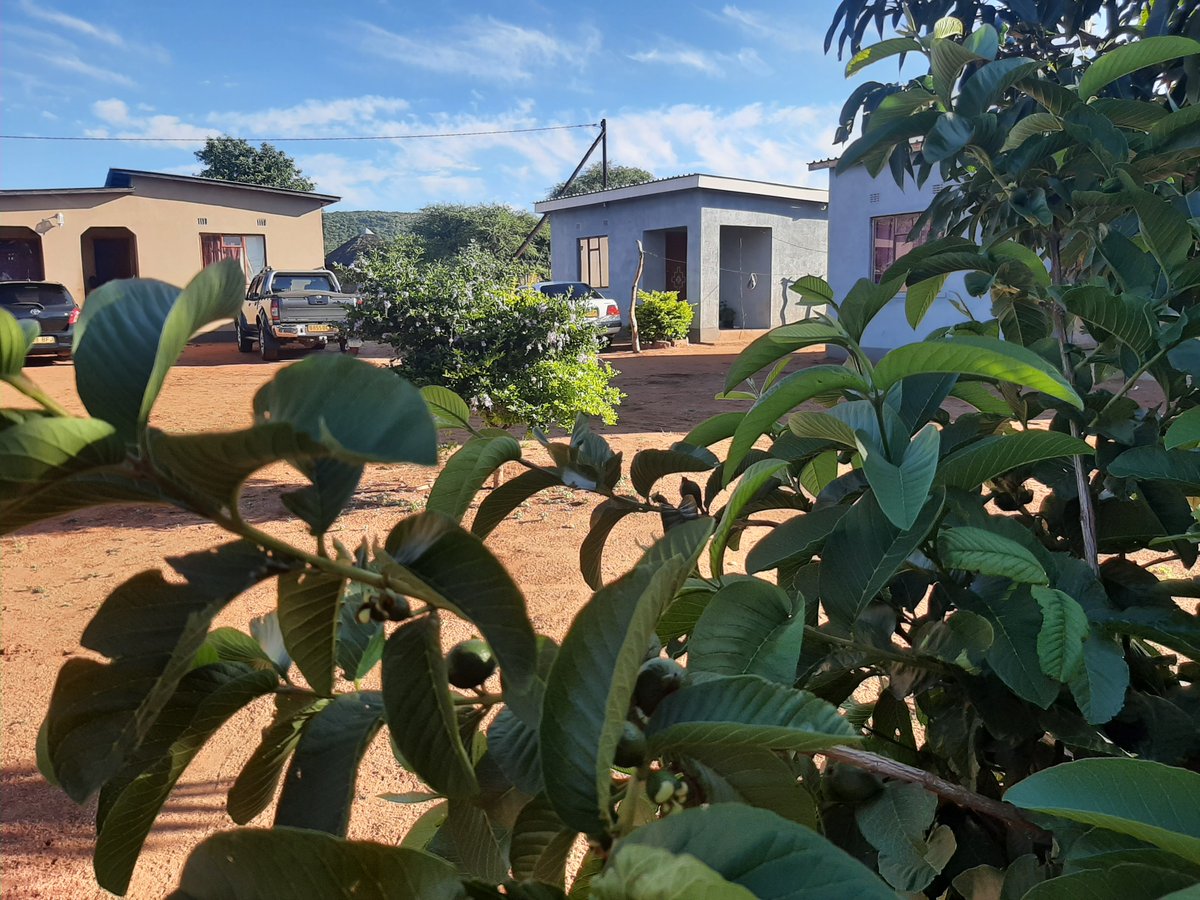 Ernest Somolekae tweet media