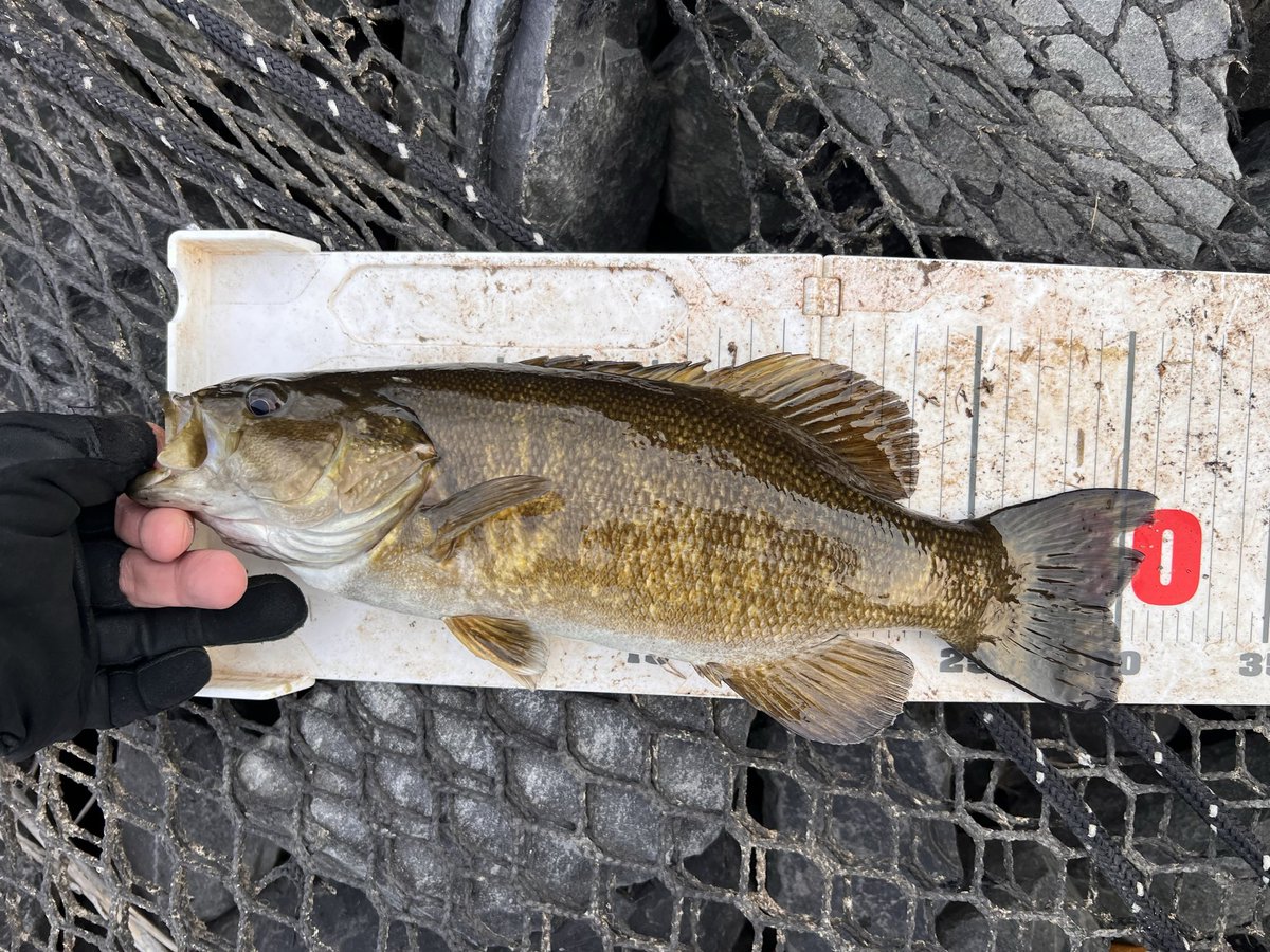 shift_down tweet media