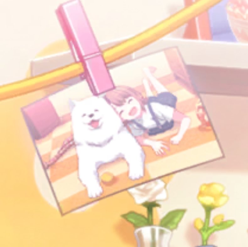 Shiba/need🍀 tweet media