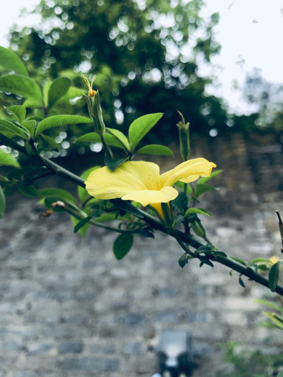 박근훈 tweet media