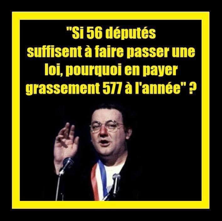 delphine tweet media