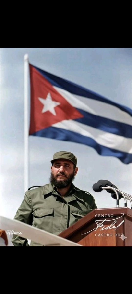 RuthLaura73 tweet media