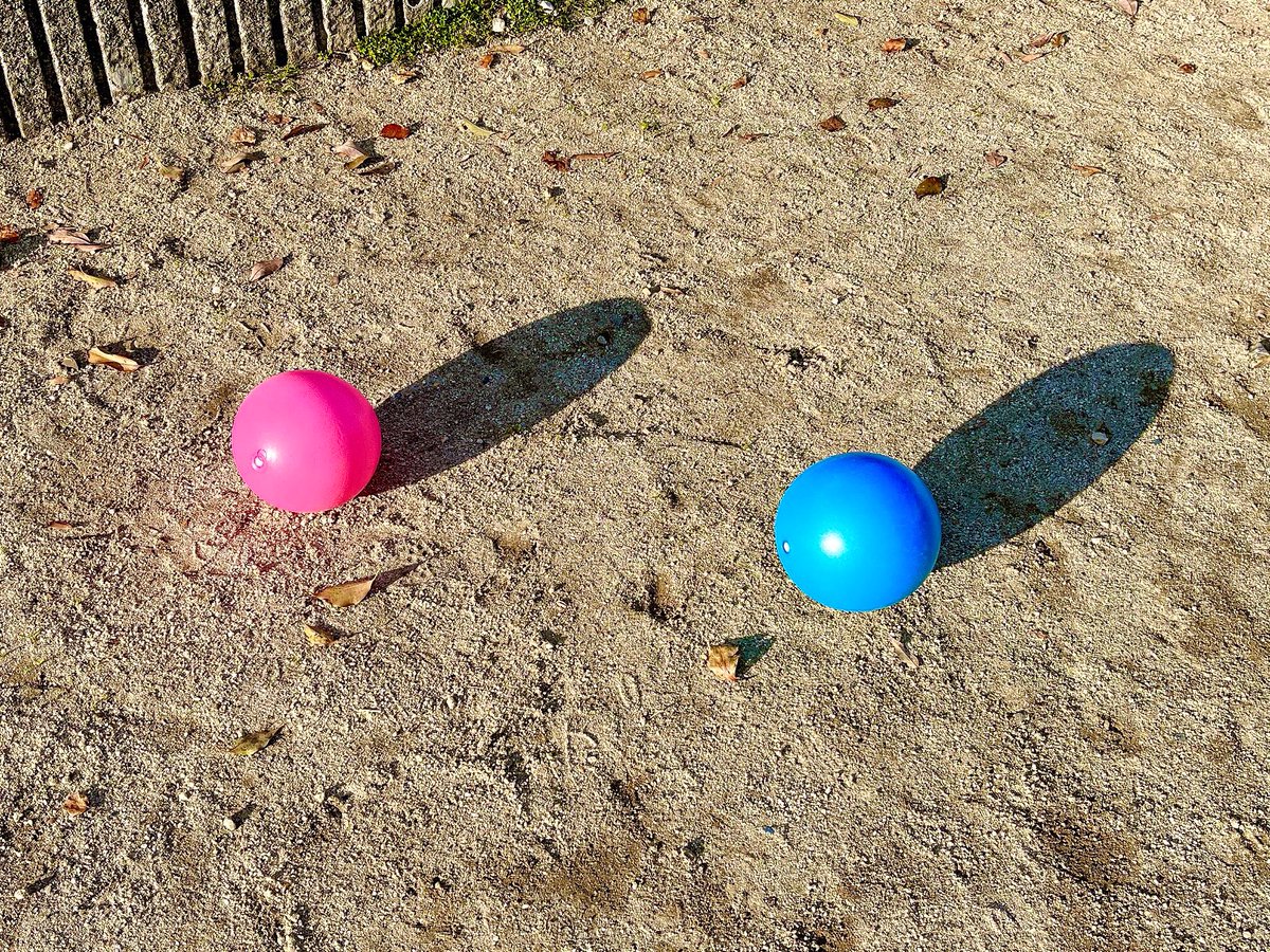 あおひなパパ🏡 tweet media