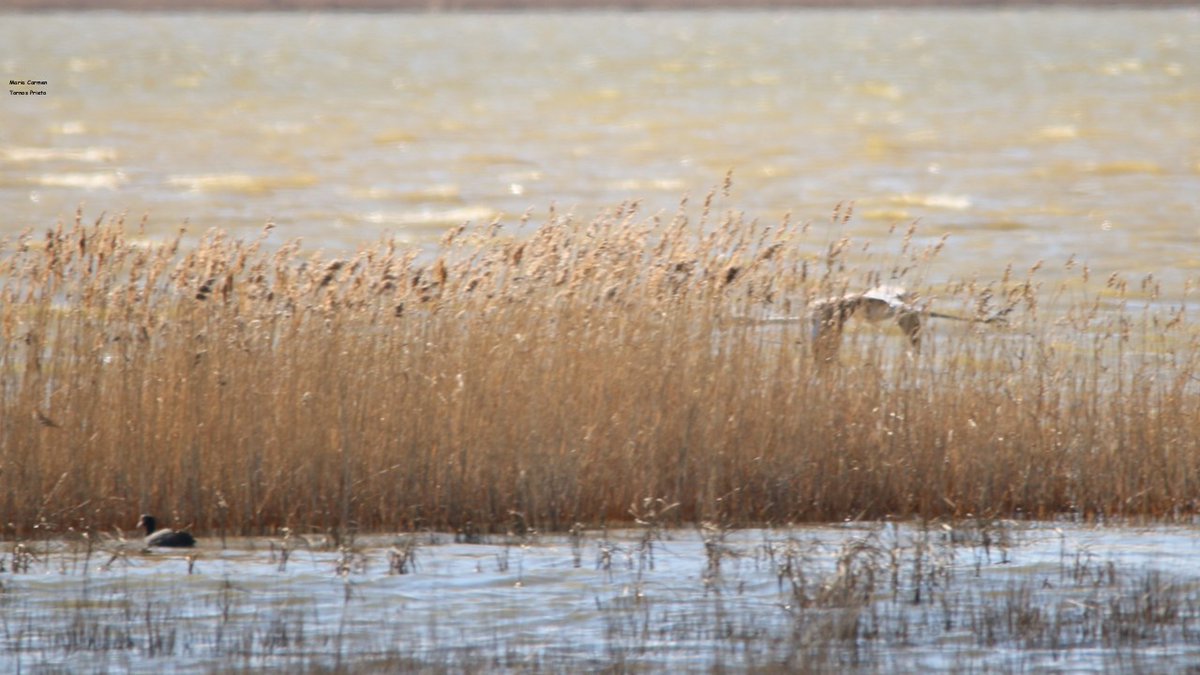 Temperatura 🌡 a las 7h  -2.4°
Temperatura 🌡 a las 8h  1.1°
Buen y feliz día para todos.
Viernes 27 de marzo 2026