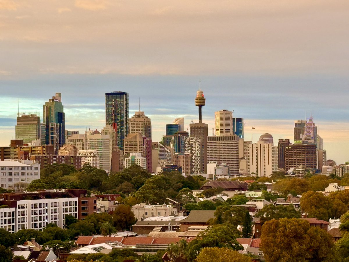 William B tweet media