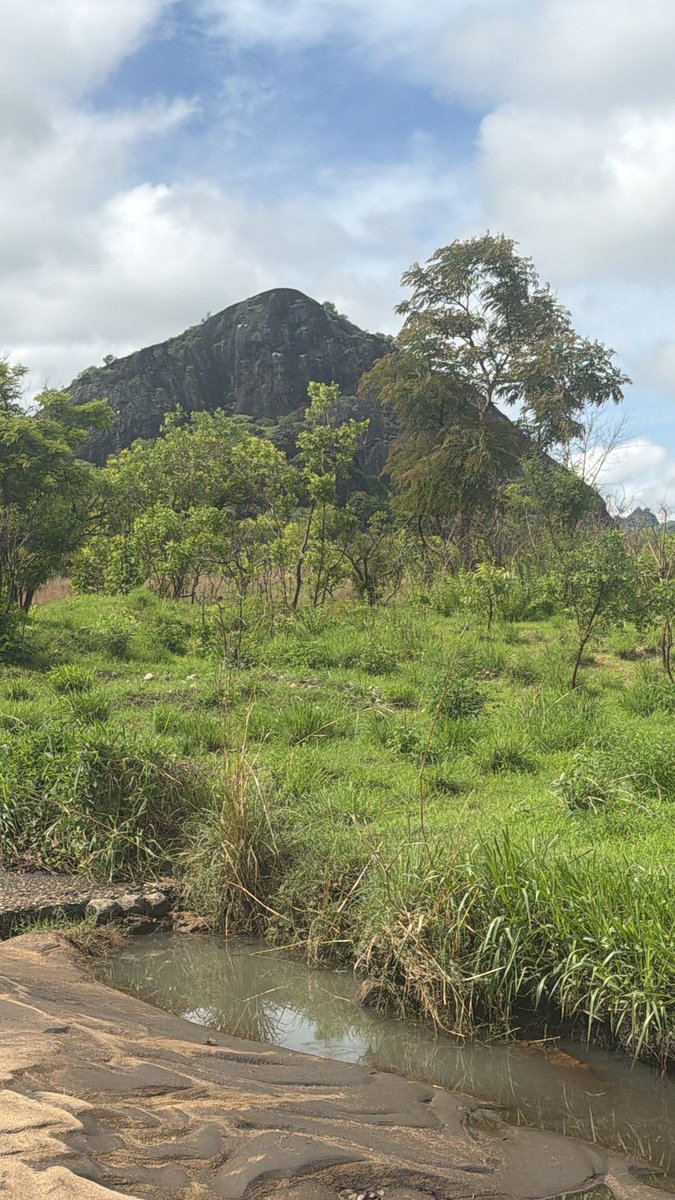 Frontier Mining Ltd tweet media