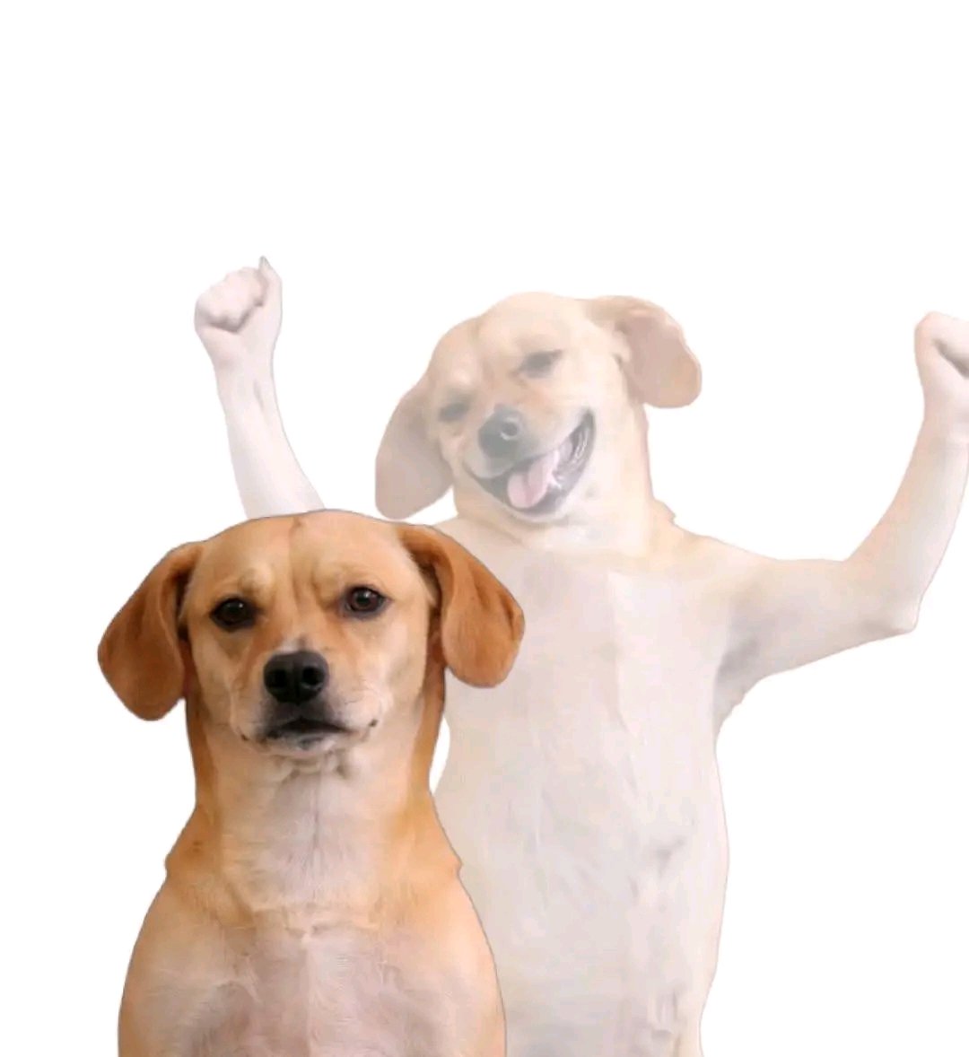 Web3 Flexx.ETH🌐✨ tweet media