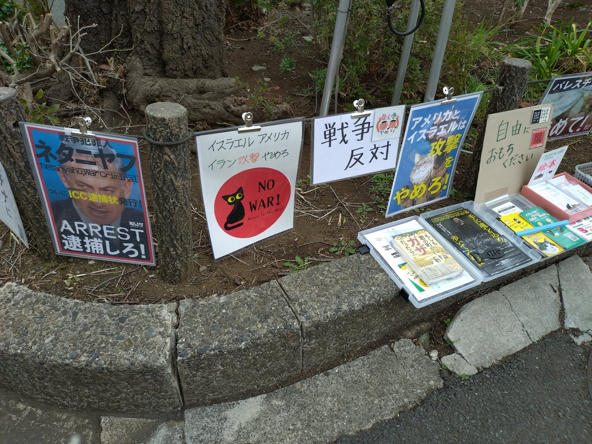 ぴよまめ 🕊️FreePalestine🍉 tweet media