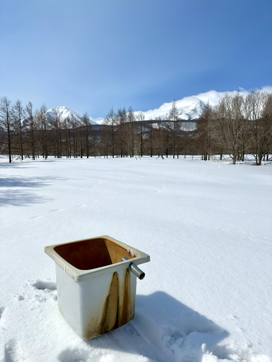 よもぎ tweet media