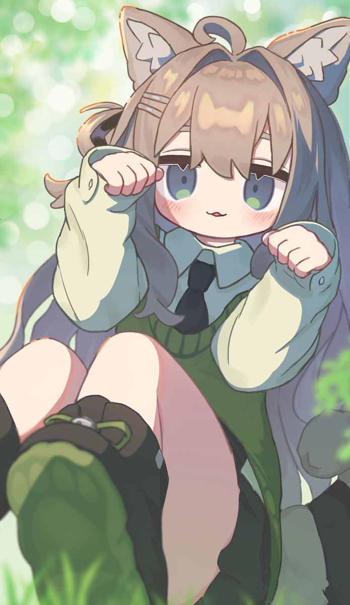 ねこかけ tweet media