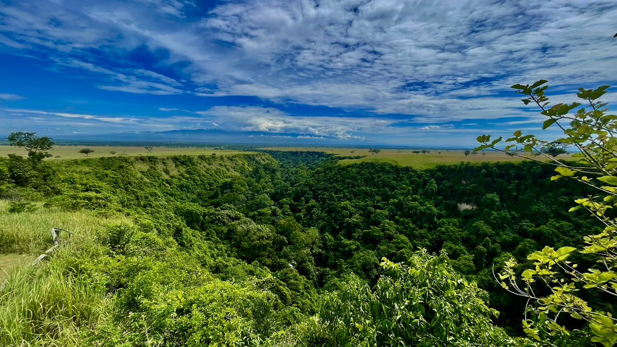 Mükalazi Jacob Zuma tweet media