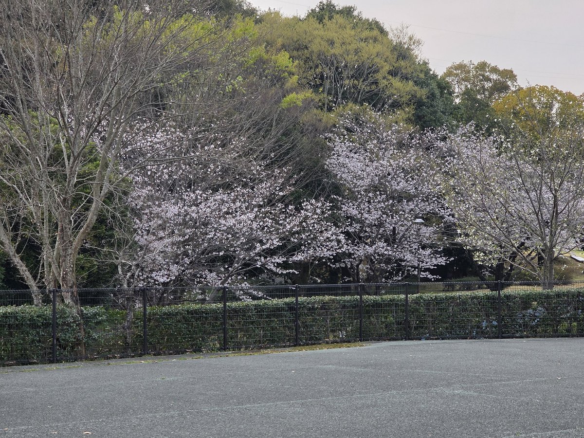 千草よーしーひーろー tweet media