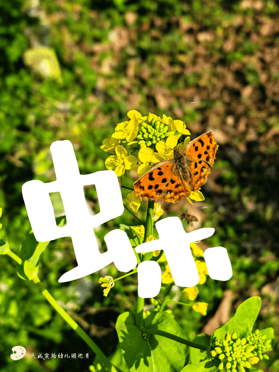 burcu coşkun tweet media