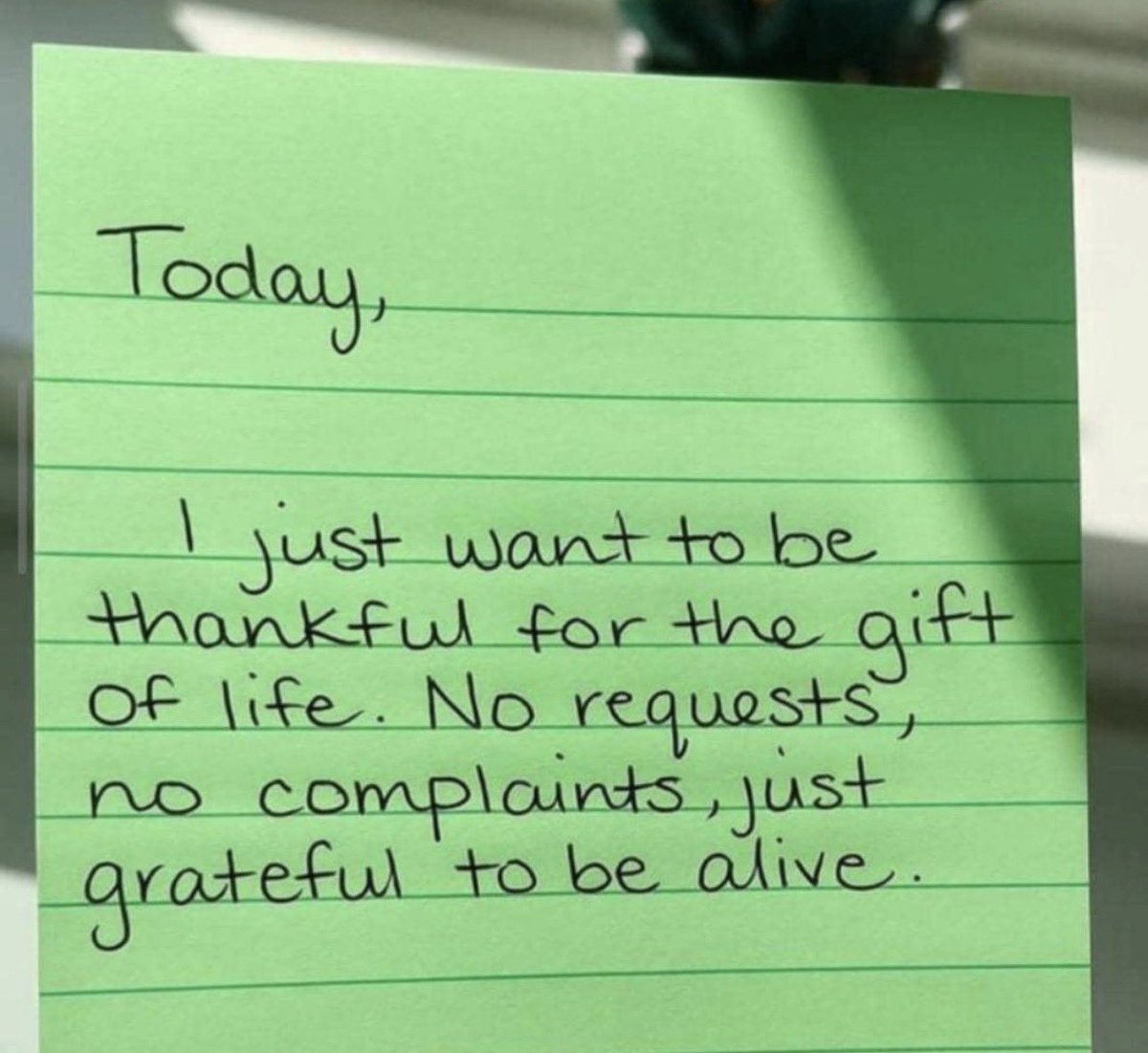 FAB__AMY (✧ᴗ✧) tweet media