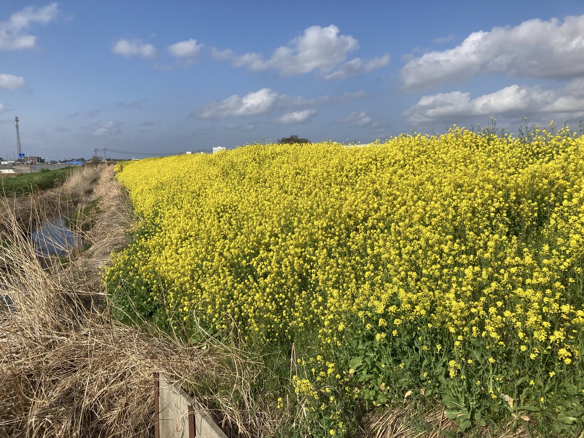 IZU@無職決定 tweet media