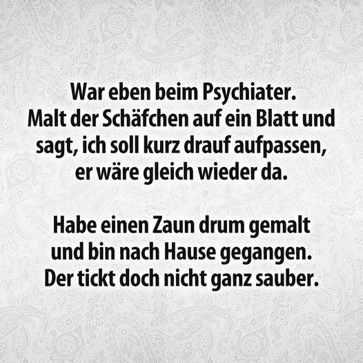 🖤💛Toby & Happy🖤💛 tweet media
