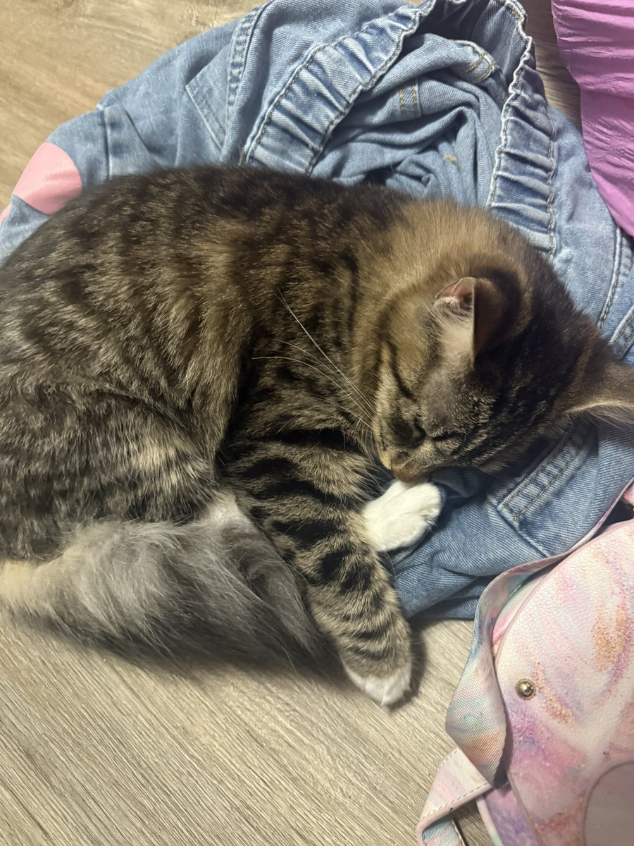 jessi 🌷 tweet media